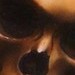 Art Galleries - Skull - 37060